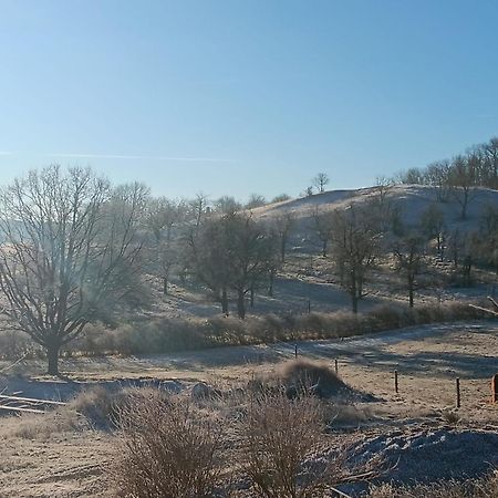 Pension Freudenthal Wandersleben Kültér fotó